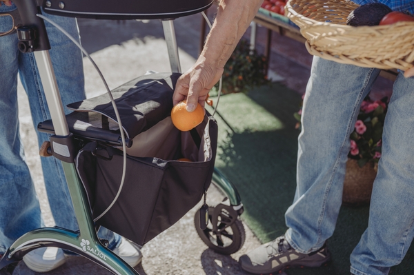 Saljol Carbonrollator CR62 midnight blue