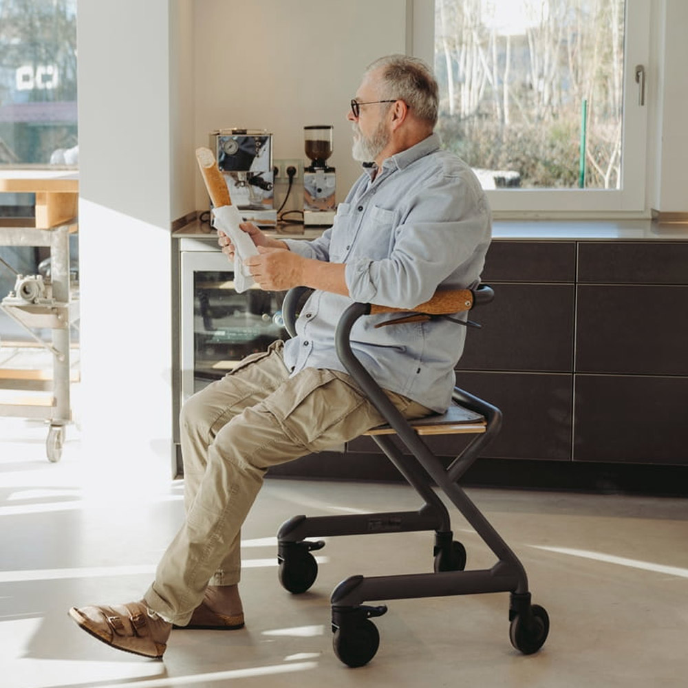 Wohnraumrollator WR53 grau